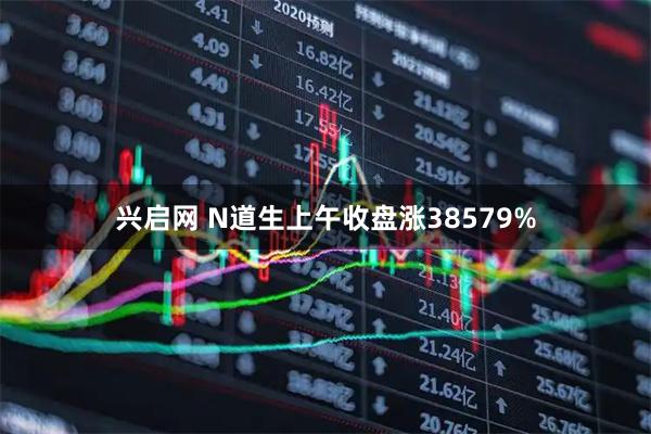 兴启网 N道生上午收盘涨38579%