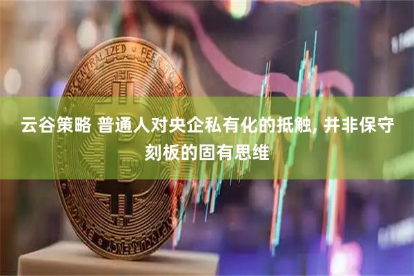 云谷策略 普通人对央企私有化的抵触, 并非保守刻板的固有思维